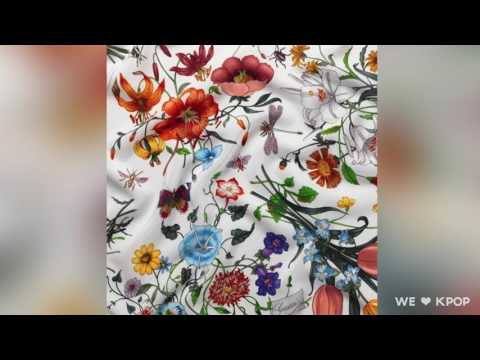 Soo while!ght  -  iceice (feat. OLNL & 하태린) (HYE SUNG Remix)