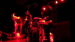 Nido de avispas - Guadalupe Plata