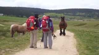 preview picture of video 'Le Sauvage, chemin de Compostelle'