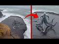 Mysterious Humanoid Beings Captured On Camera That Scientists Can T Explain