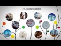 FINDER - Das sind wir