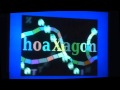 Video for Hoaxagon