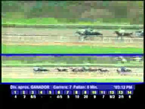 1ERA VALIDA 5Y6 DOM 05 FEBRERO