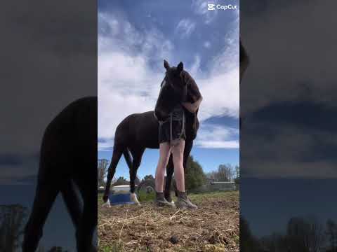 Deebee hugs are the best ones🫶💗