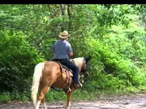 William Lara Perdomo- Lagrimas En El Tranquero