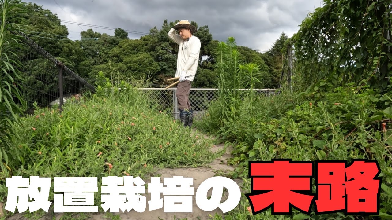 【夫の怒り】妻の行動が納得できない夫