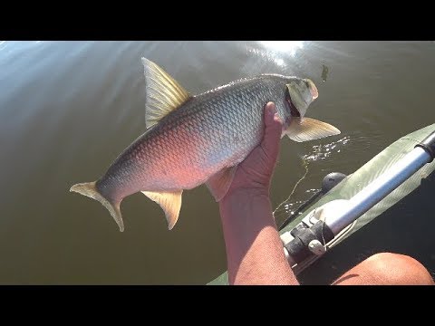 ECLIPSE Keel Vib 75 и жерех.Ух,какие поклевки! И о ГИМС.Asp Fishing.