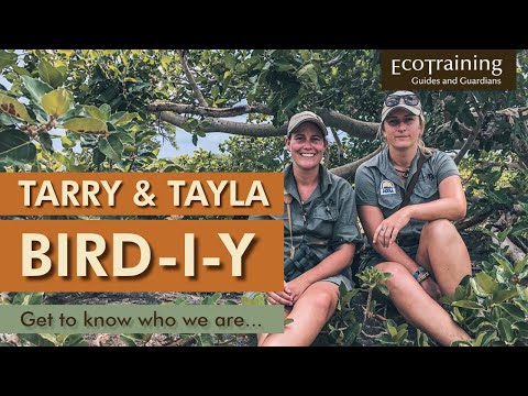 Tarry & Tayla Bird-I-Y | Introduction