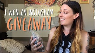 Plant Unboxing : Anthurium clarinervium from PlantThatPlant!