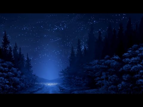 9TAILS - arctic eyes