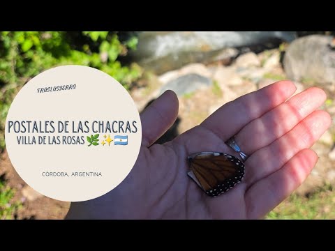 🍁Postales de las Chacras Norte 🌿 Un recorrido personal en Villa de las Rosas🌹