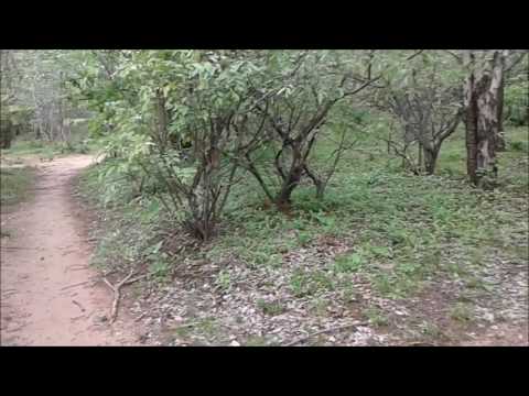 NDINGO JOHWA  -  TJIBHAKO