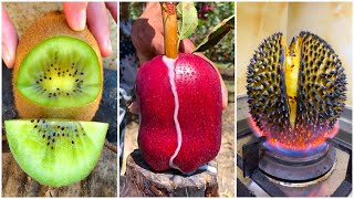 果物切る  果樹園での果実合成   美味しい果物  Farm Fresh Ninja Fruit Cutting   Tik Tok P1 1080p