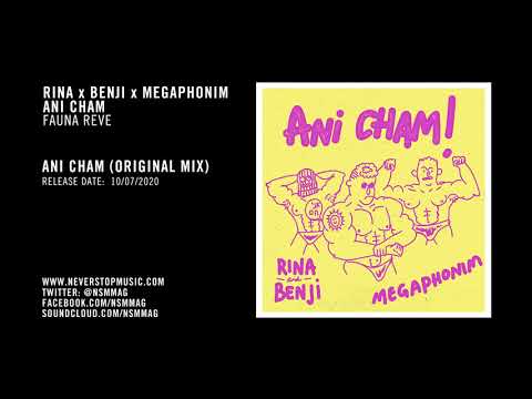 Premiere: Rina x Benji x Megaphonim - Ani Cham (Original Mix) [Fauna Reve]