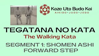 1. Shomen Ashi