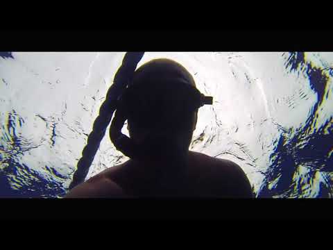 Pesca Sub - Nella Gabbia insieme ai Tonni - Big Tuna -  Spearfishing -