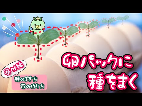 苗用の卵箱、簡単!