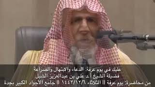 صورة أ.د. علي الشبل | عليك في يوم عرفه الدعاء والابتهال والضراعة
