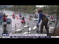 Orlando S Lake Eola Swans Receive Annual Check Up