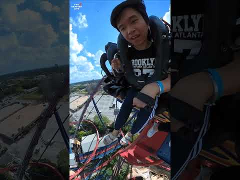 Sheikra! The Most Insane Dive Roller Coaster at Busch Gardens Tampa