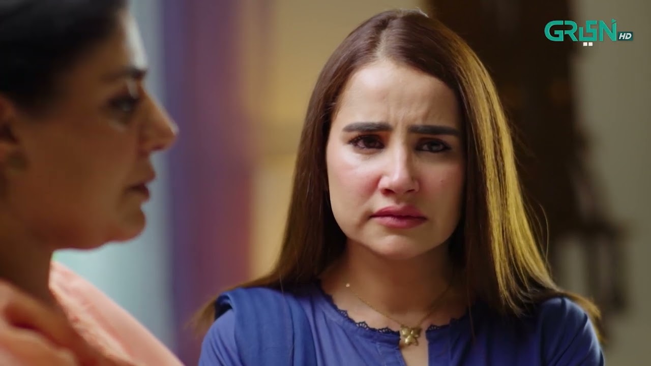 Aik Bhool Episode 29 | Best Moment 02 | Green TV Entertainment