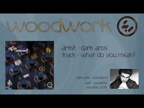 DARK ARPS - What Do You Mean? (wood041)