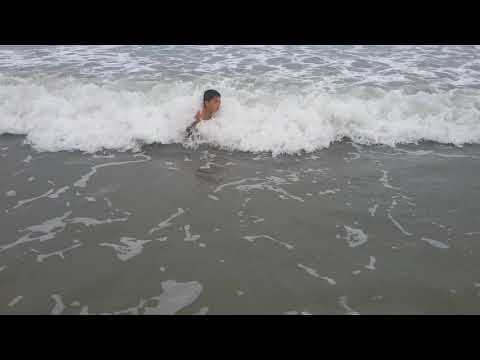 Primeira vez dos meus filhos e cachorros na praia já viraram surfistas