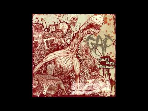 Gaf ‎- Cultivate Disdain FULL ALBUM (2010 - Death Metal / Grindcore)