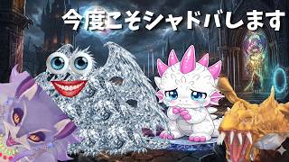 【ドラジャ枠】色んなことします