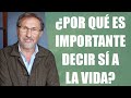 Joan Garriga Bacardi Why Is It Important To Say Yes To Life