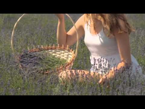 Film reklamowy gminy Dobrzyca