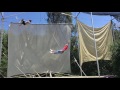 Flying Trapeze Noah S Planche Catch By Lianna