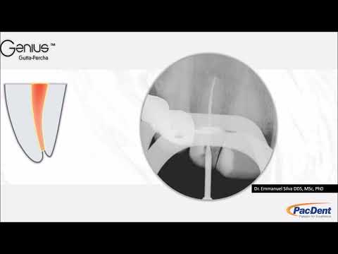 Genius Gutta Percha Accurate Machined Fabricated Gutta-Percha Points