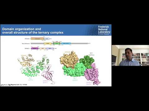 Dr. Dhirendra Simanshu - Structural and mechanistic insights into the RAS biology