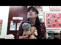 Chanuka Puppet Show
