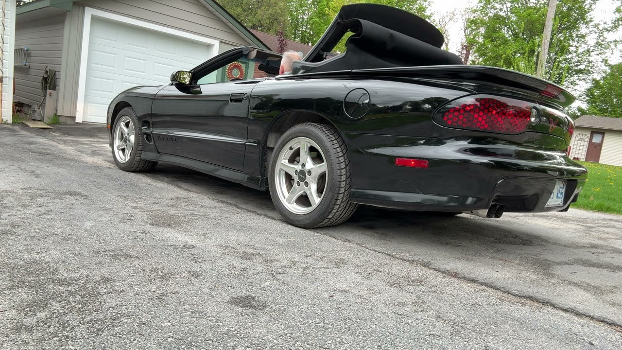20 Years Owned 1999 Pontiac Firebird Trans Am WS6 Convertible 6-Speed Manual