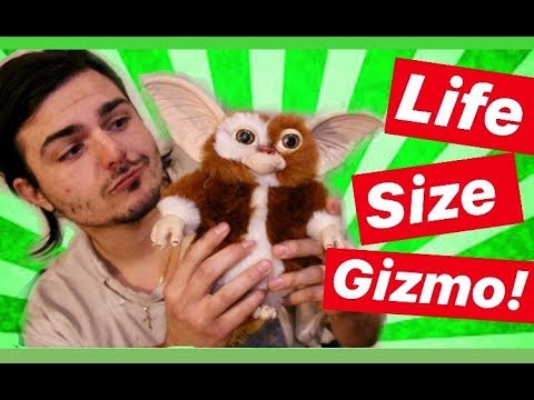 LIFE SIZE 1:1 Scale Gizmo Gremlins Prop Replica Review (Trick or Treat Studios)