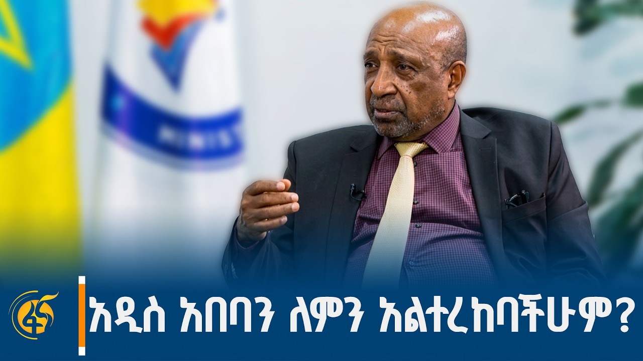 የብርሃኑ ነጋ (ፕ/ር) ምላሽ