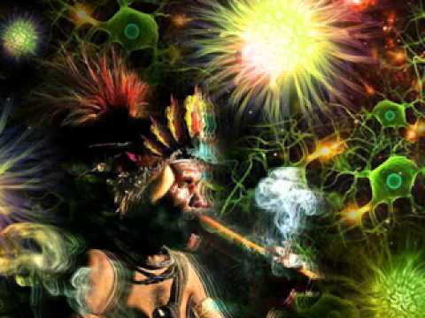 1066 Xamanica - Dan Gibson - No Name