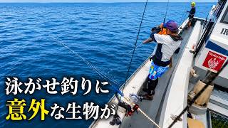 【生配信切り抜き】沖縄の凄腕漁師もりもりさんの船で大物狙いの船釣り【バディー3】