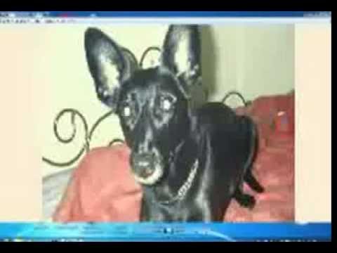 MIX-204 - Bitmonx,ClassA, CoExist, Flowjob,NOK,Haldolium,u.v.a.(MIX SET BY DJ HELMIC - 05.03.2016)