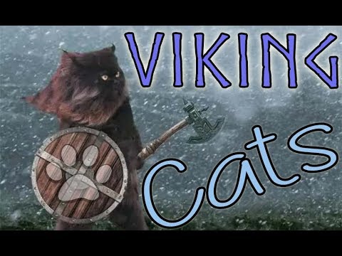 Viking Cats