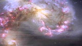 Koss - Ring 01