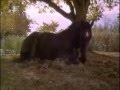 Black Beauty Ending Clip