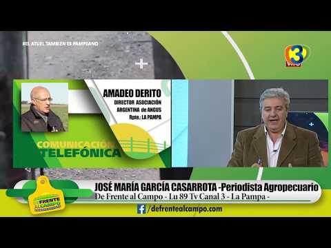 DE FRENTE AL CAMPO junto al SECTOR PRODUCTIVO PAMPEANO-.ENTREVISTA: AMADEO DERITO