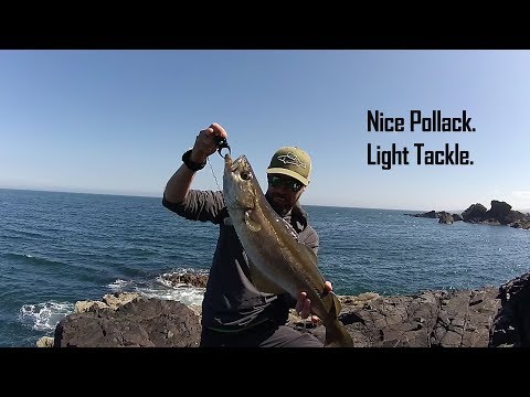 Lure Fishing With Soft Plastics for Pollack- They're Back!