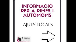 Ajuts Locals