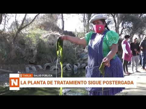 TARIJA | ALERTA POR CONTAMINACIÓN EN LAGUNAS DE OXIDACIÓN EN SAN LUIS
