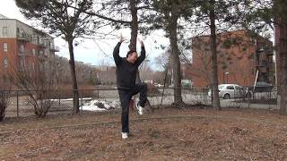 Free Shaolin Kungfu Tutorials: Shaolin 13 Claws Form - Tiger 少林十三爪 之 虎扑 - 05