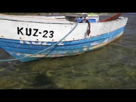 SYBERIA KUŹNICA 2018 .